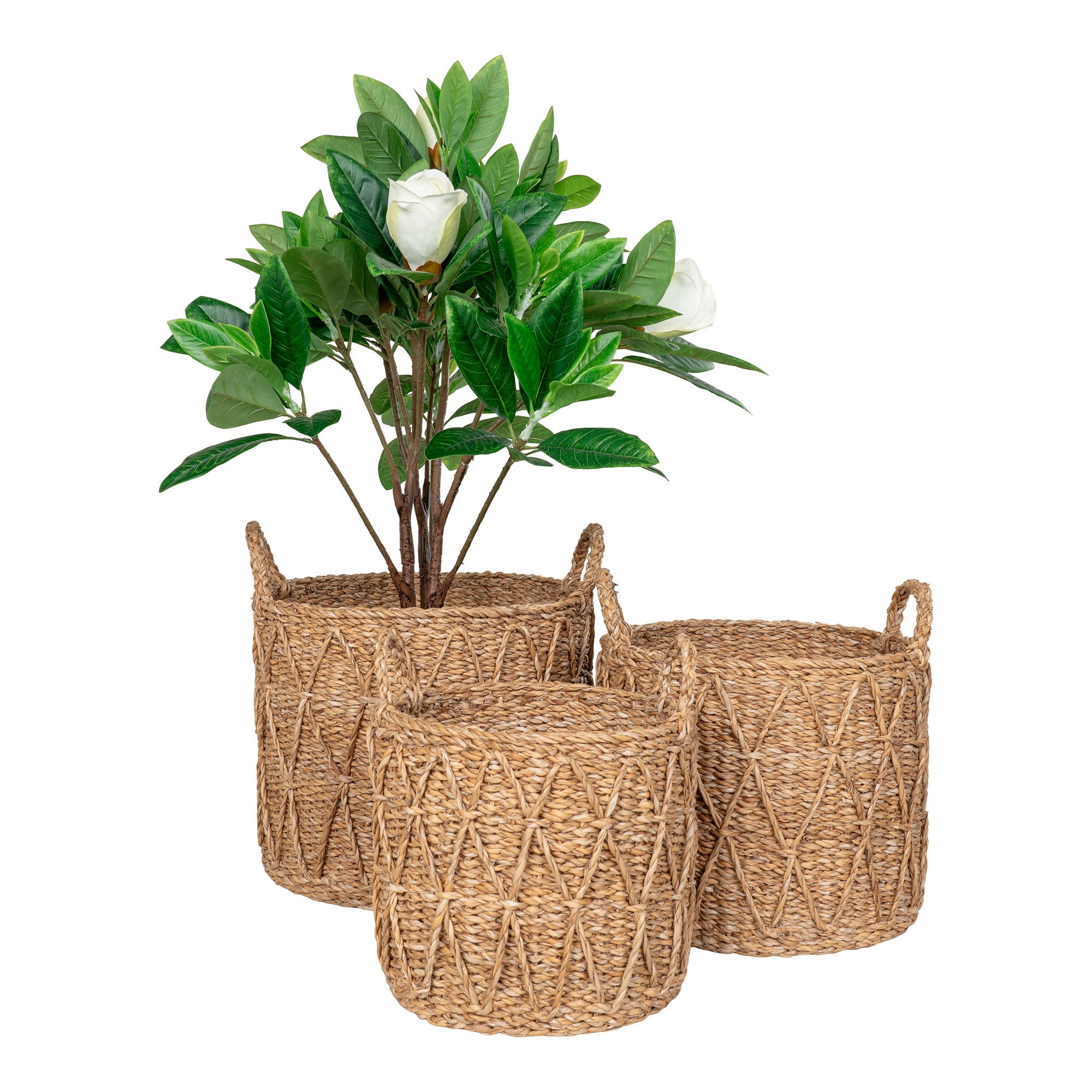 Krabi – Aufbewahrungskörbe aus Seegras, natur, Set aus 3